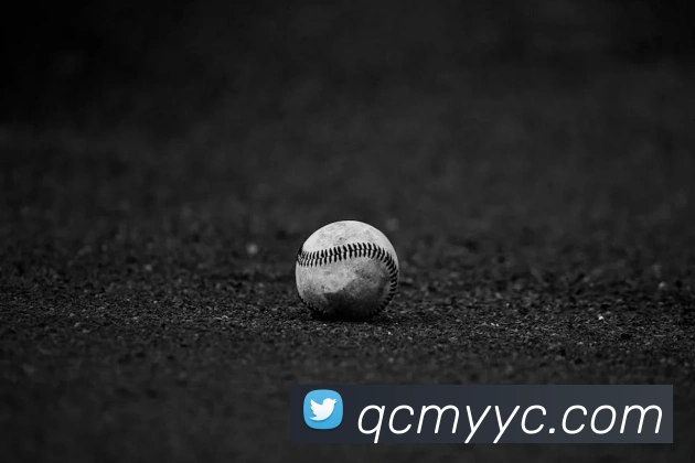 mksports体育平台生态图